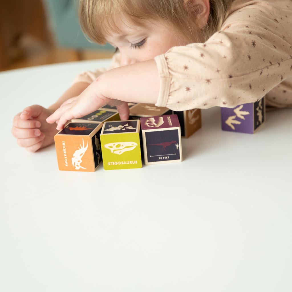 Building on the Past Block Safety and History Uncle Goose